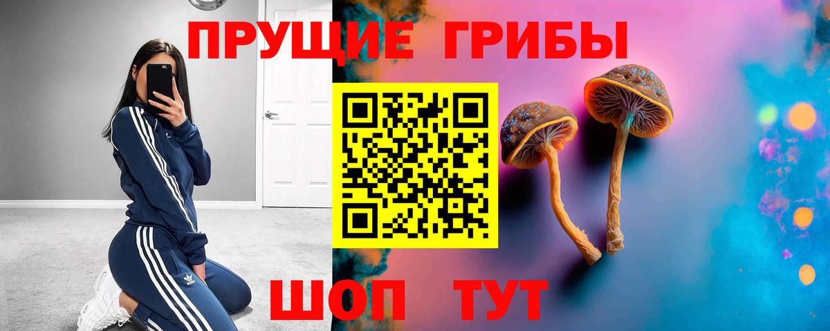 купить наркоту  Галлюциногенные грибы Psilocybe  Вход с VPN  Удомля 