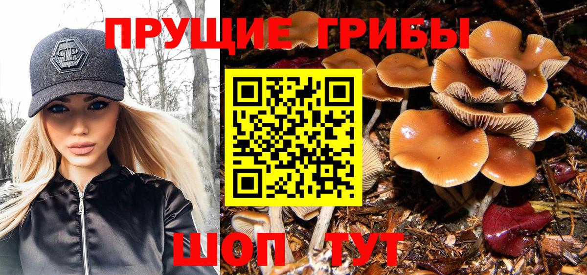 Псилоцибиновые грибы мухоморы Удомля